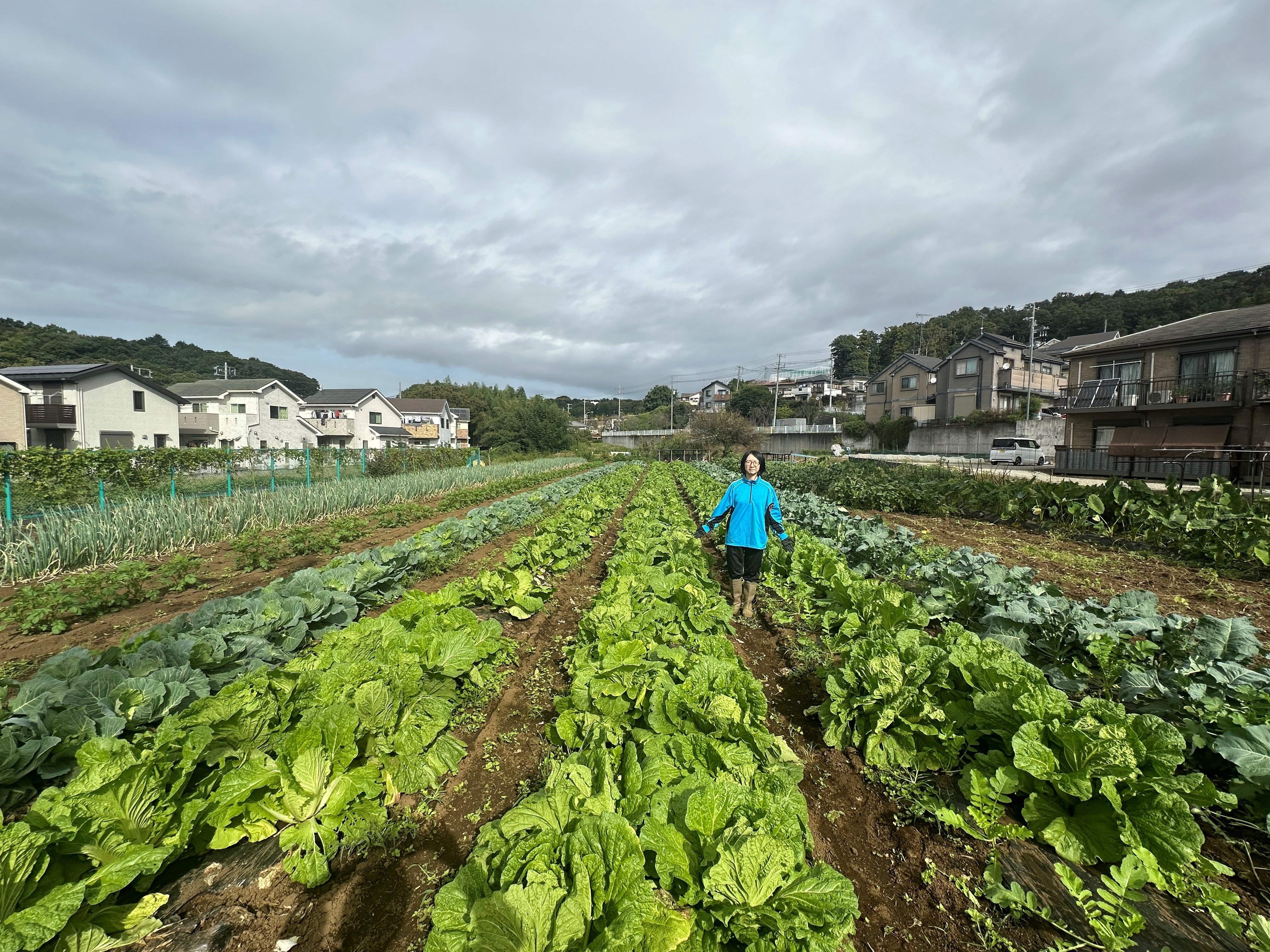下小山田・図師町農の風景育成地区
