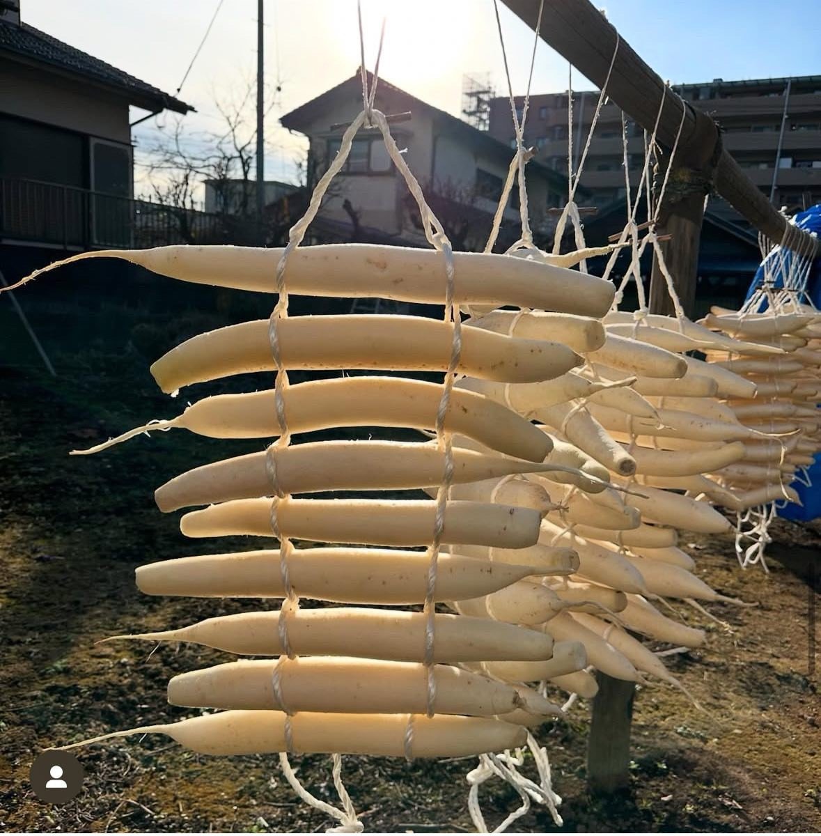 八王子市大和田