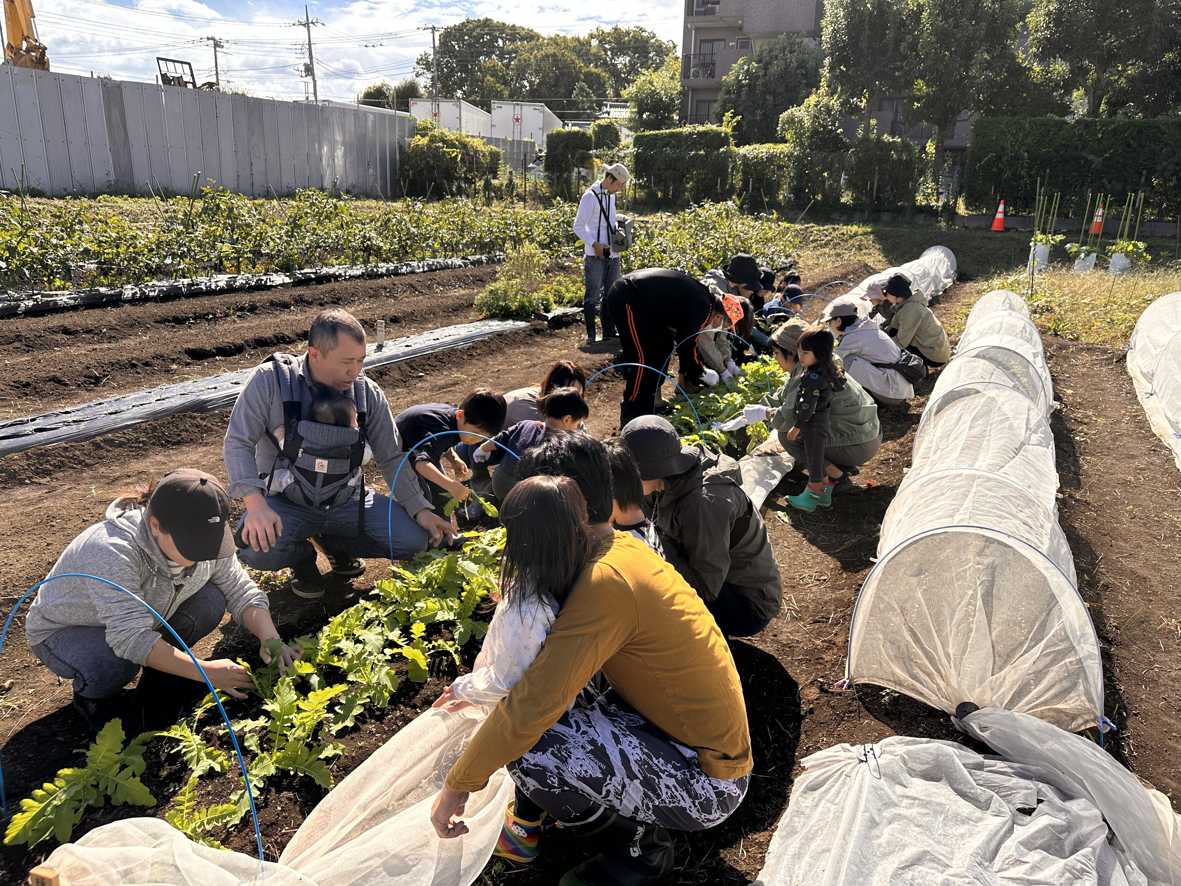 完成した農業公園(調布市提供)