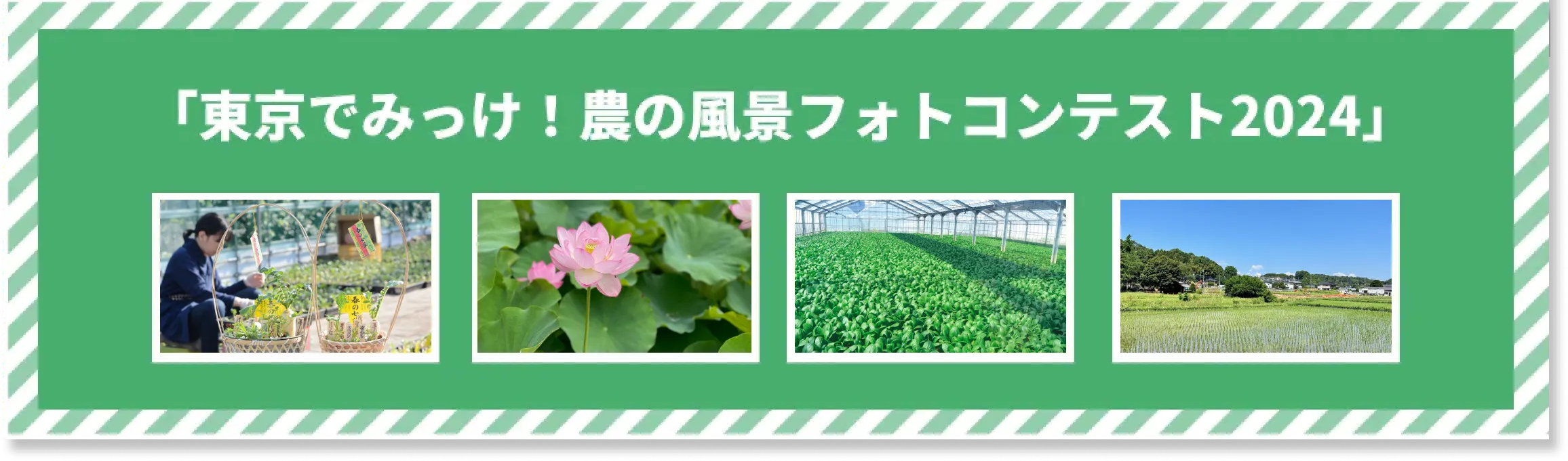 東京でみっけ！農の風景フォトコンテスト2024