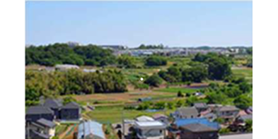 写真：暮らしの中で守り育てられてきた農の風景（八王子市提供）