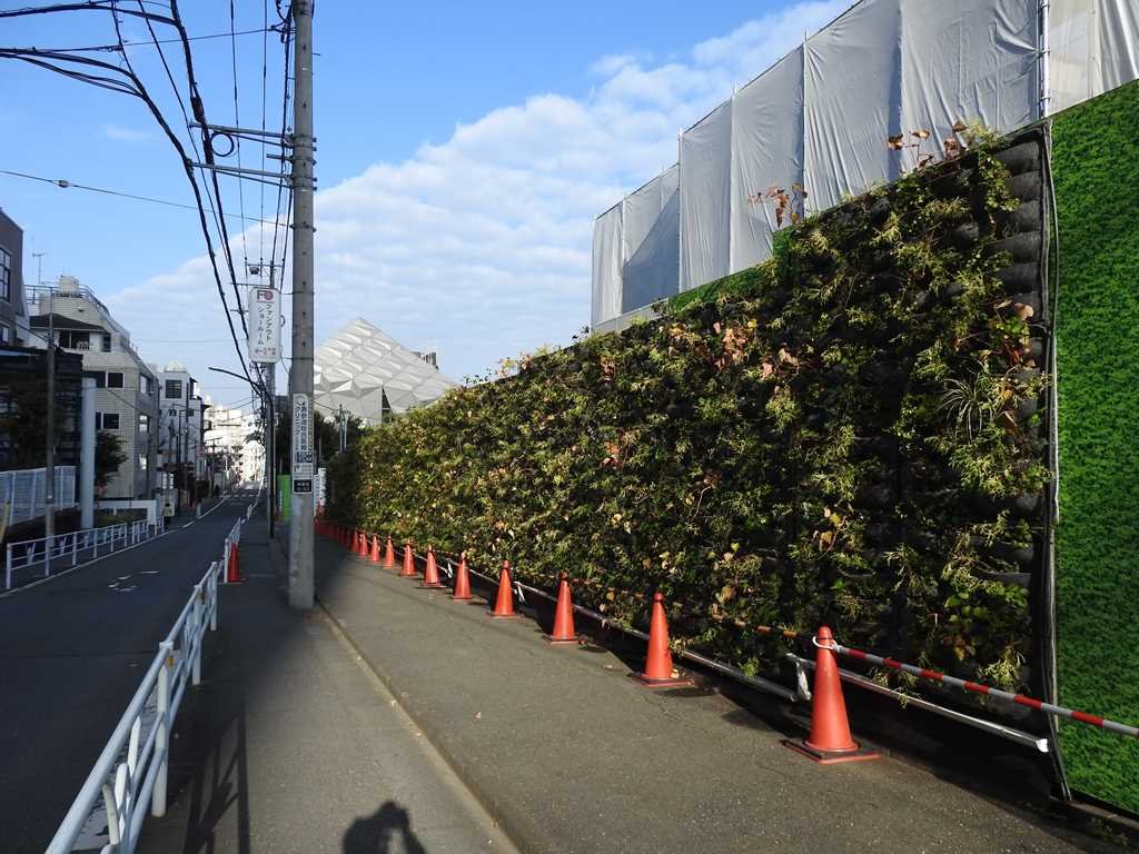 写真：渋谷区神宮前五丁目