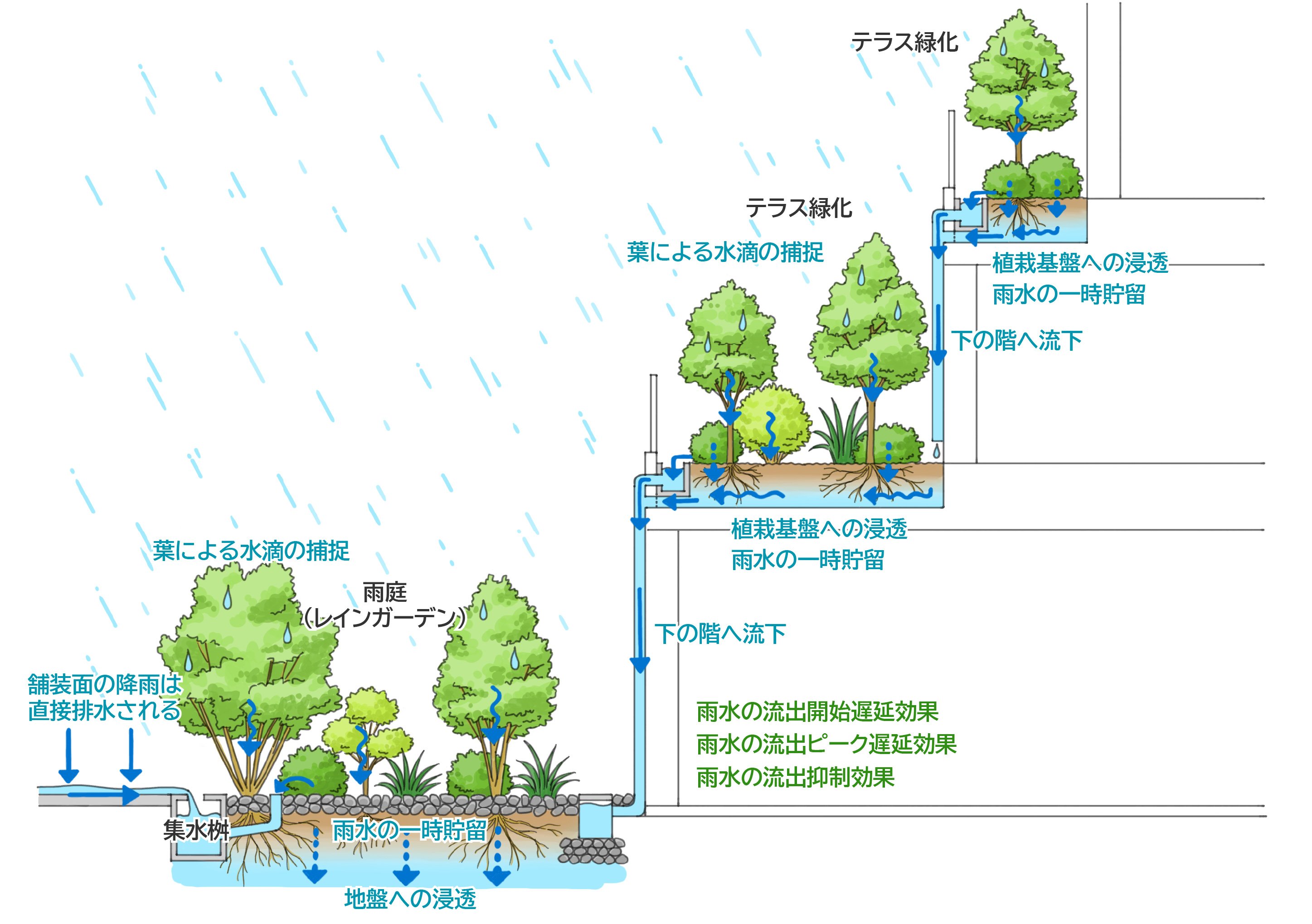 画像：イラスト「階段状に排水系統がつながった緑化」