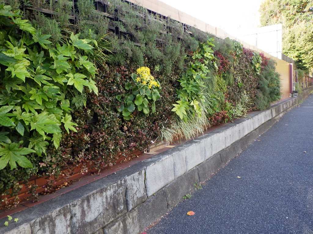 港区・六本木の仮囲い緑化実証実験