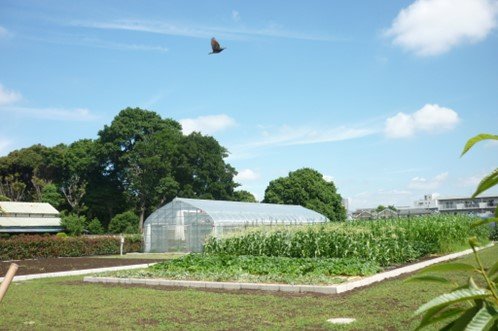 練馬区立農の学校(練馬区提供)