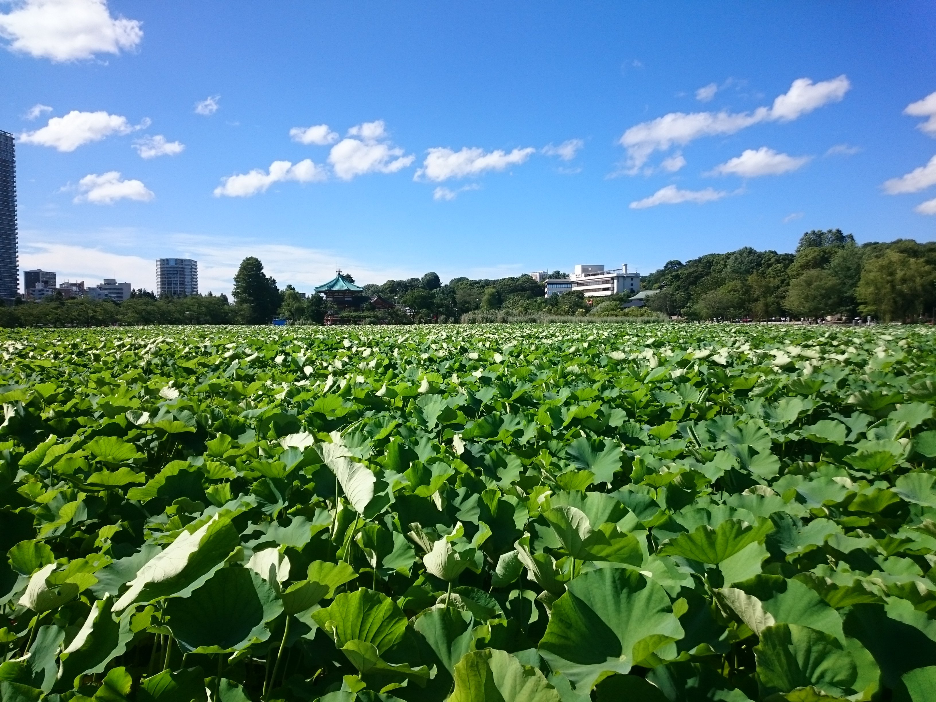 上野恩賜公園