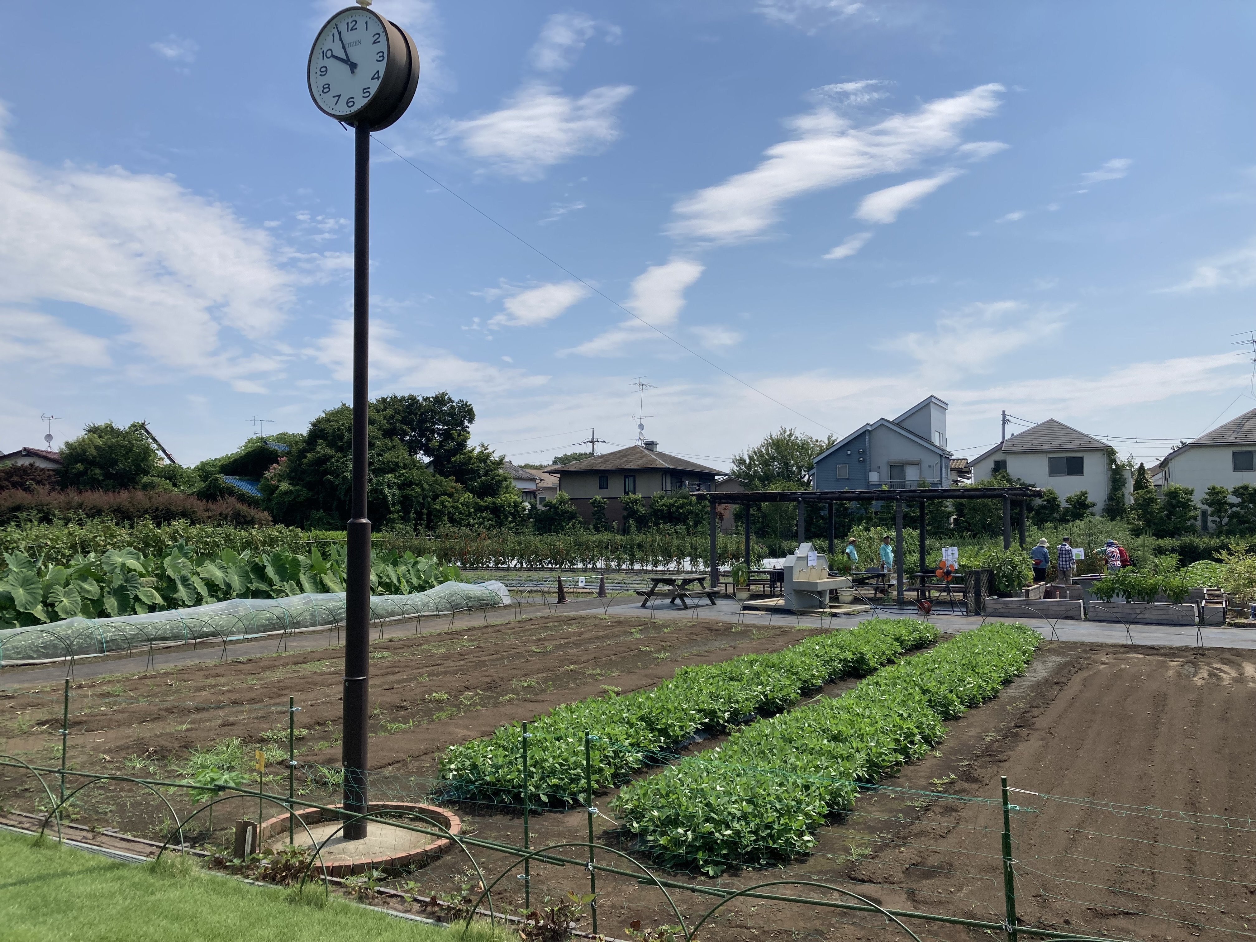 成田西ふれあい農業公園（杉並区提供）